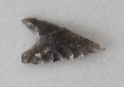 V C 7569