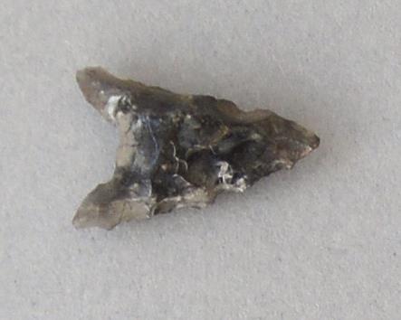 V C 7575