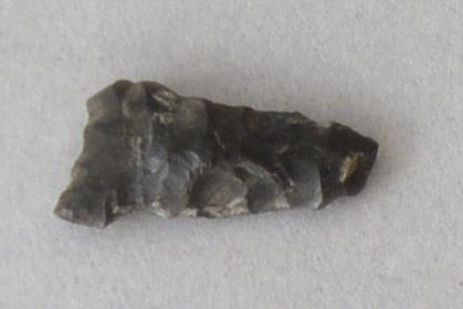 V C 7577