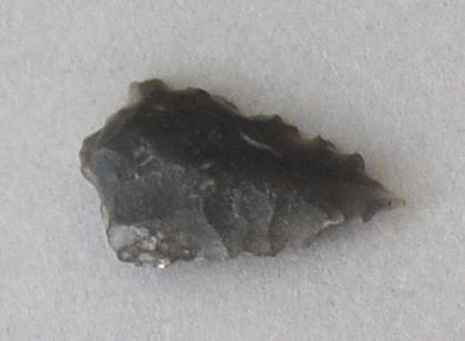 V C 7579