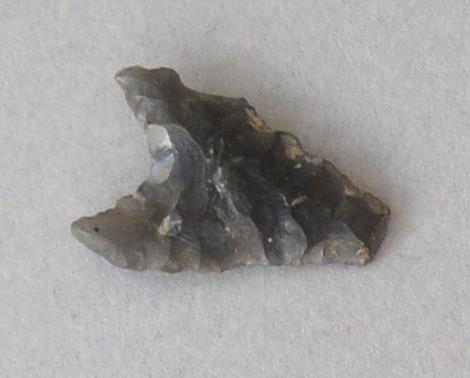 V C 7581