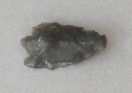 V C 7583