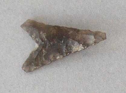 V C 7584
