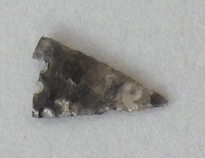 V C 7586