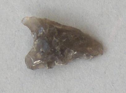V C 7589