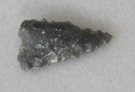 V C 7591