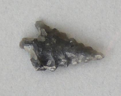 V C 7593