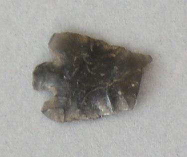 V C 7595