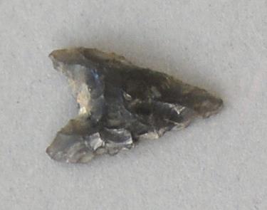 V C 7596