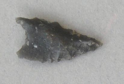 V C 7598