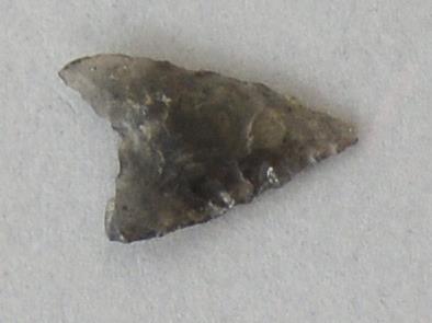 V C 7599
