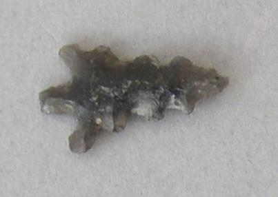 V C 7605