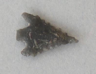 V C 7607