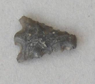 V C 7618