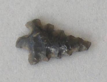 V C 7619