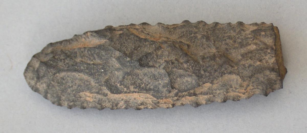 V C 7813
