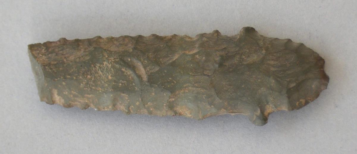 V C 7814