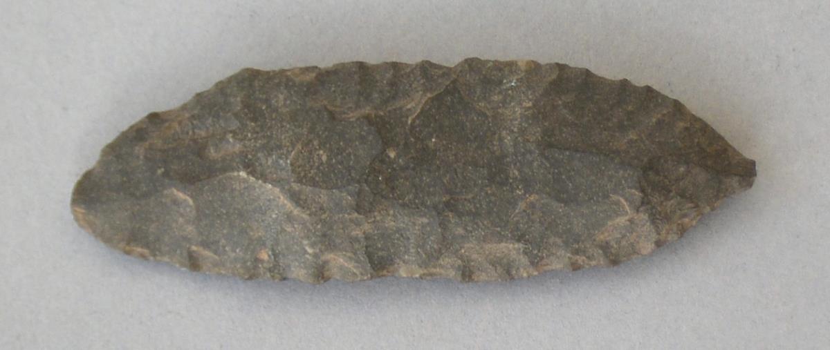 V C 7815