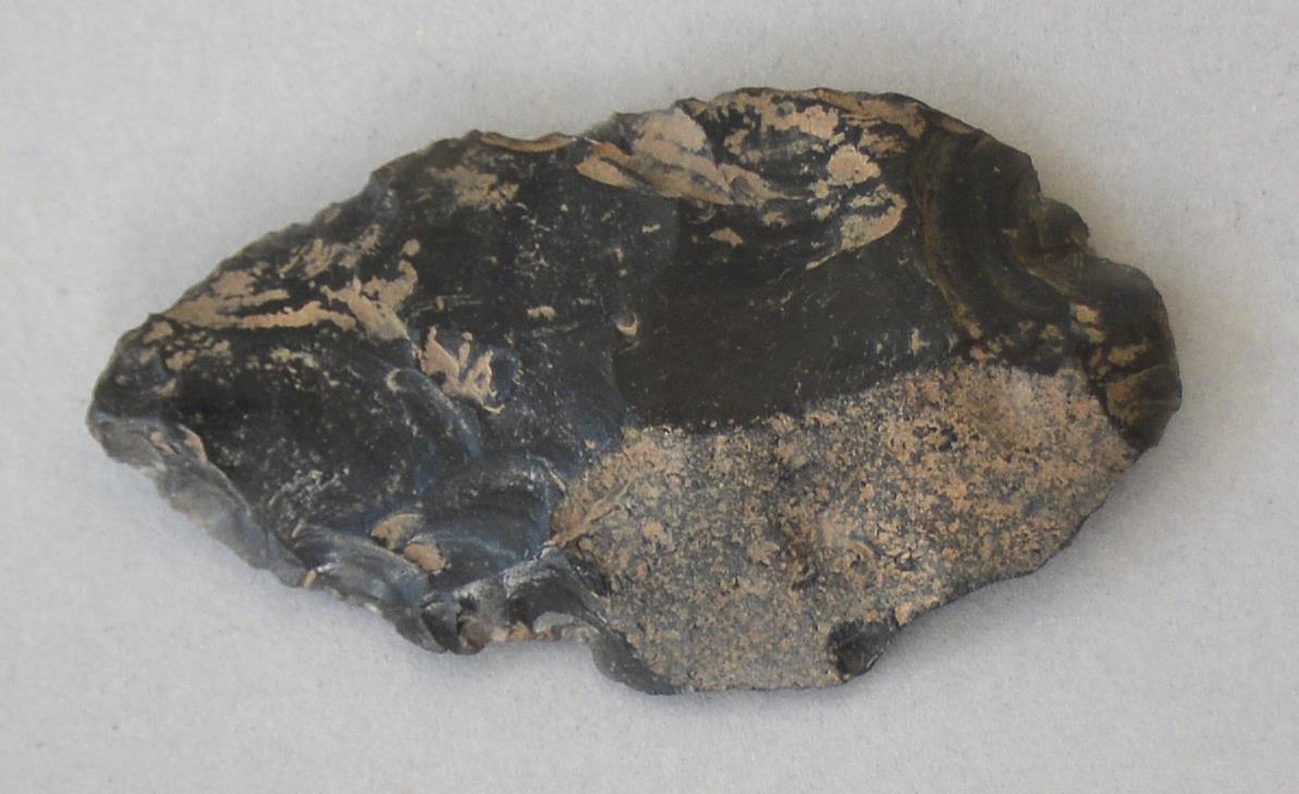 V C 7816