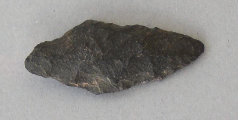 V C 7819