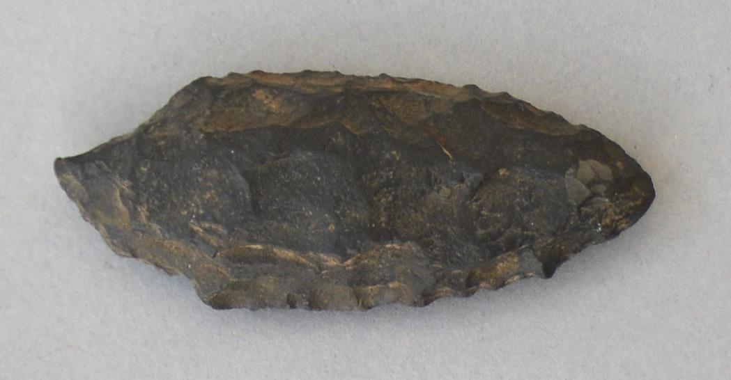 V C 8165