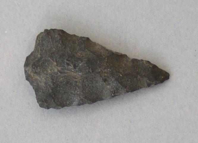 V C 8166