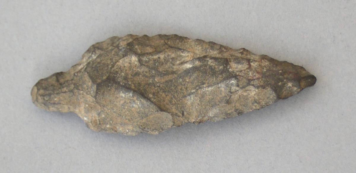 V C 8168