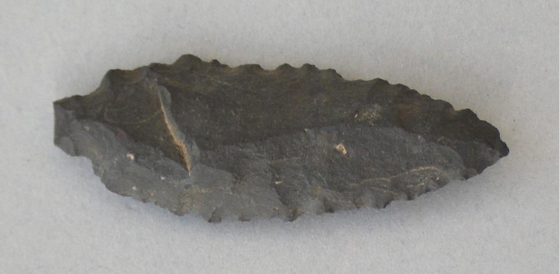 V C 8169