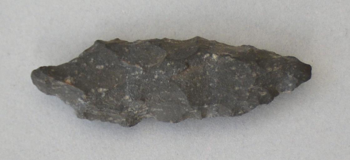 V C 8170