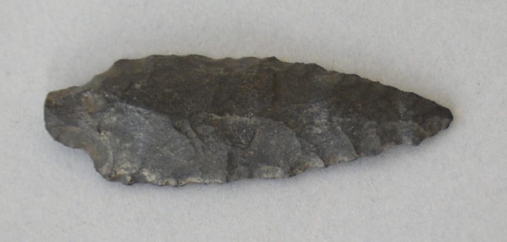 V C 8171