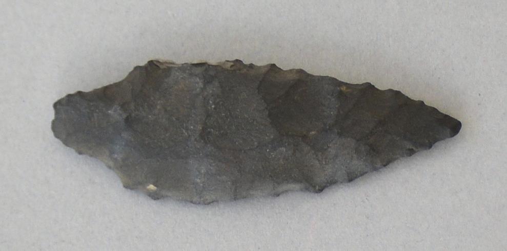 V C 8172