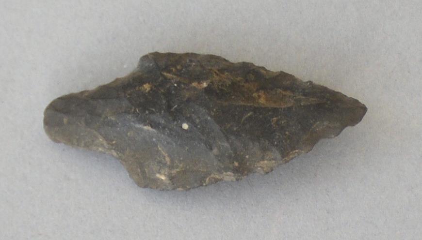 V C 8173
