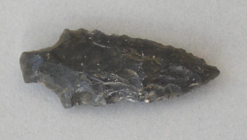 V C 8174