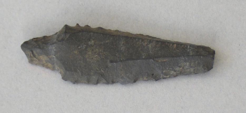 V C 8175