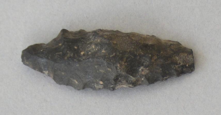V C 8176