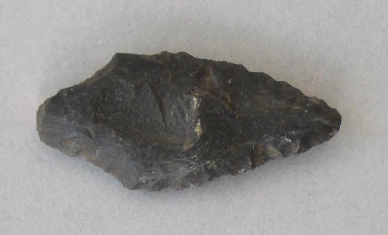 V C 8177