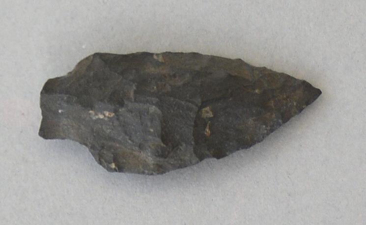 V C 8178