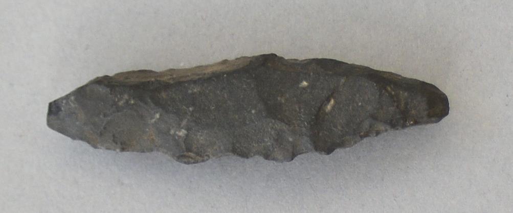 V C 8179