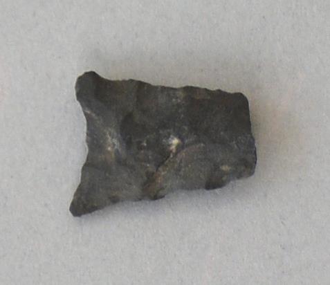 V C 8181