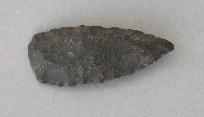 V C 8182