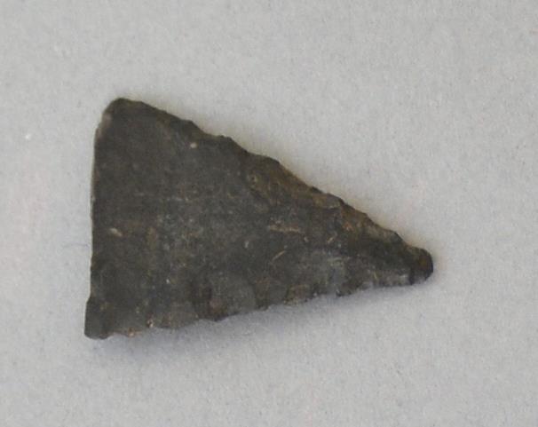 V C 8183