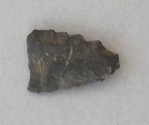 V C 8184