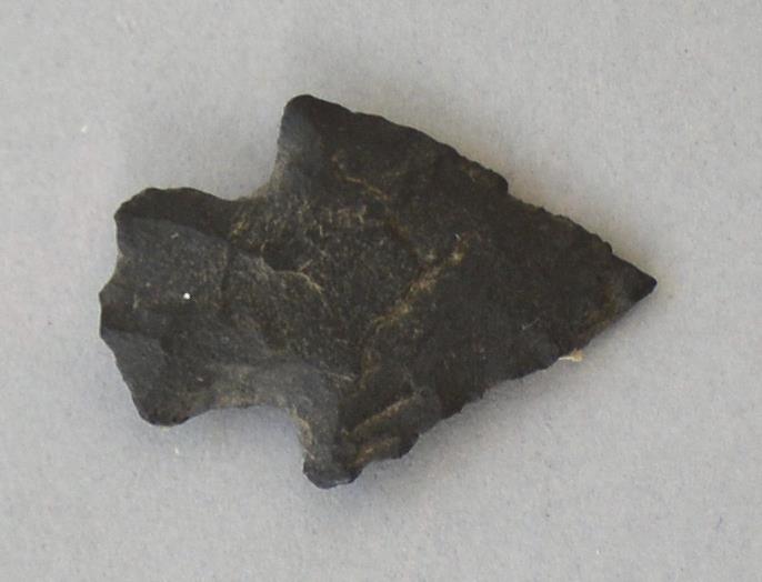 V C 8773