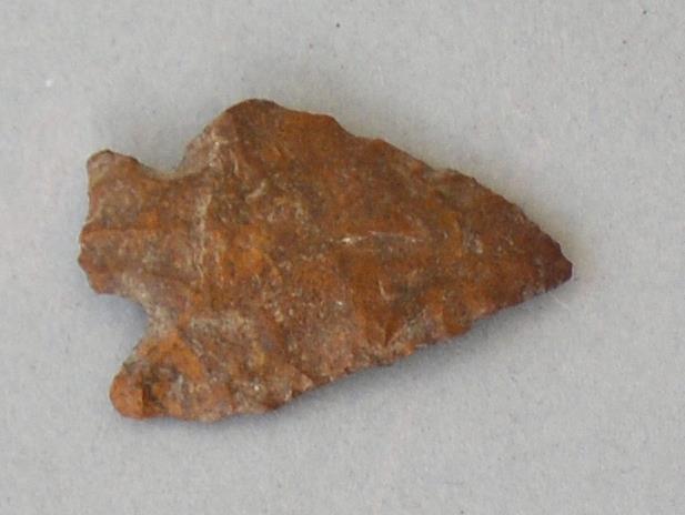 V C 8784