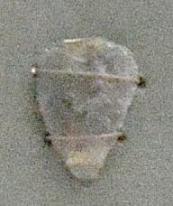 V C 3918