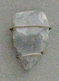 V C 3919