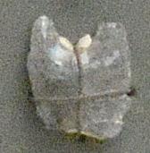 V C 3922