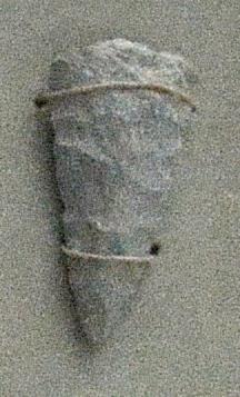 V C 3929