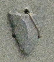 V C 3933