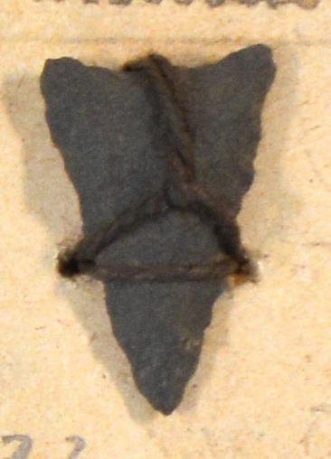 V C 7359